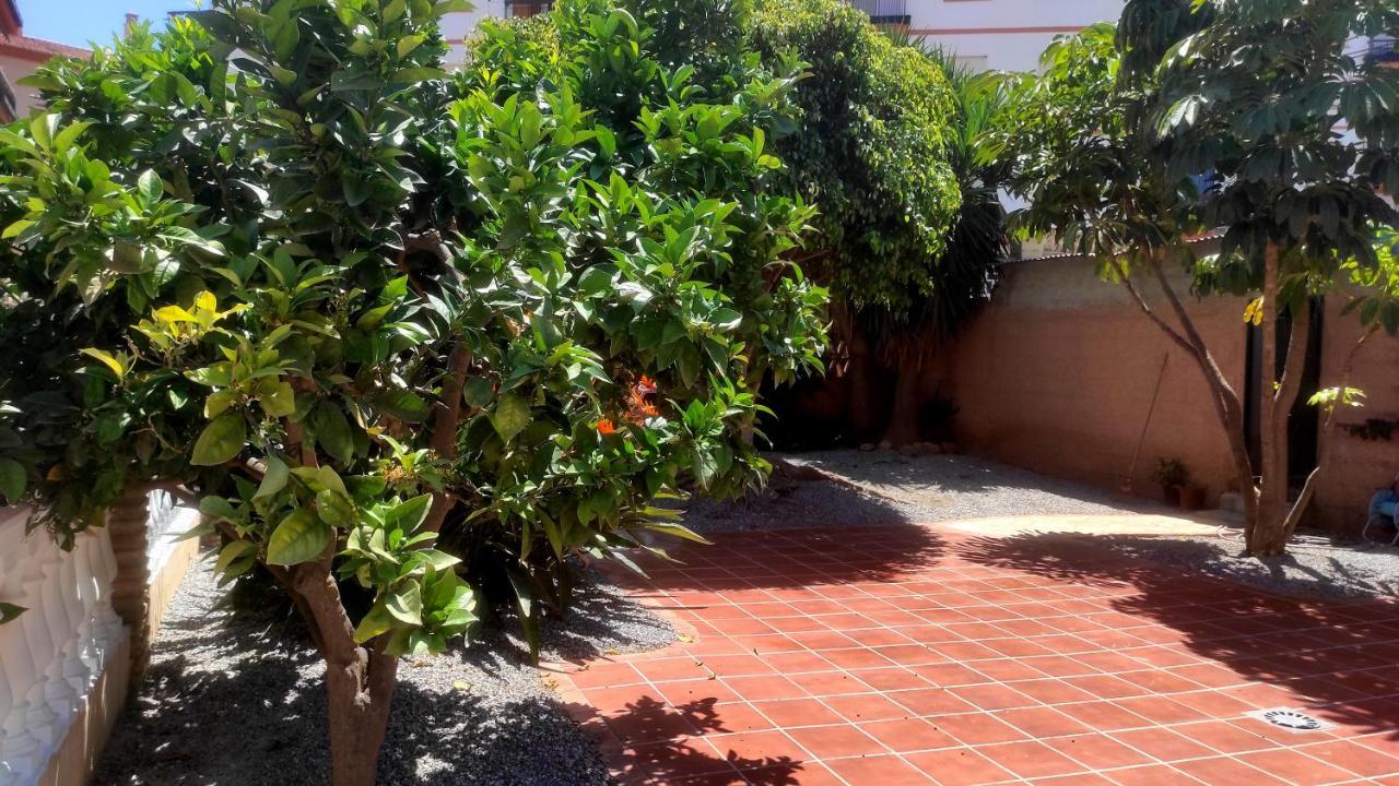El Rincon De Clara Βίλα Almuñécar Εξωτερικό φωτογραφία